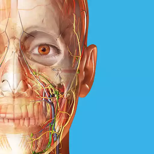 Human Anatomy Atlas MOD APK (Premium Unlocked)
