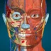 Anatomy Learning   3D Anatomy MOD APK (Full Version Unlocked)