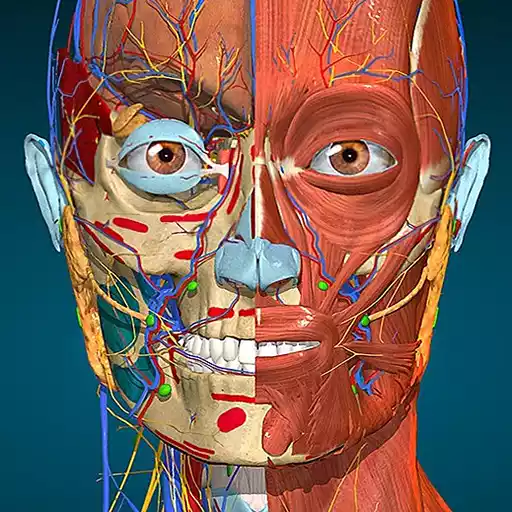 Anatomy Learning – 3D Anatomy MOD APK (Full version Unlocked)