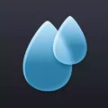 Rain Viewer MOD APK